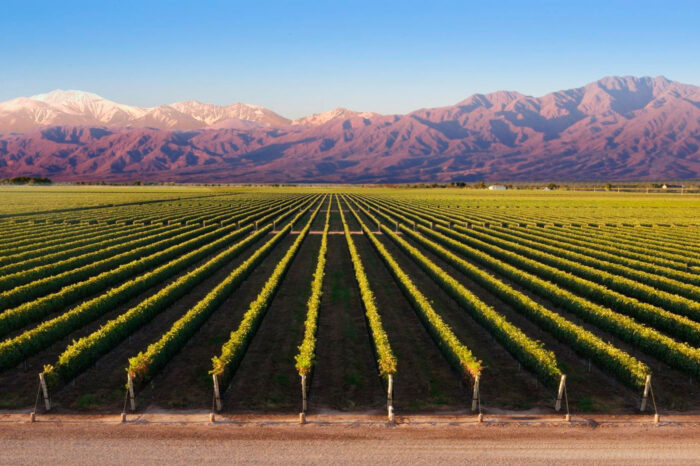 Mendoza & San Rafael